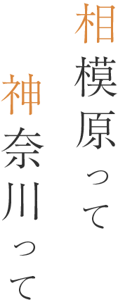 相模原って神奈川って