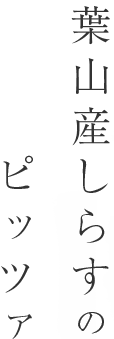 葉山産しらすのピッツァ