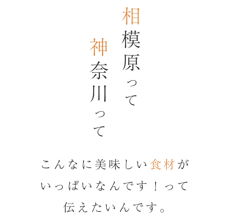 相模原って神奈川って